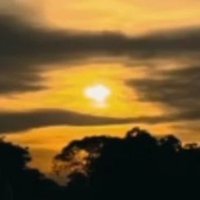 CHARON (@weetseries) 's Twitter Profile Photo