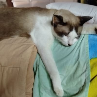 WPraphatsiri's profile picture. 