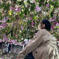 mei (@__m_volley) 's Twitter Profile