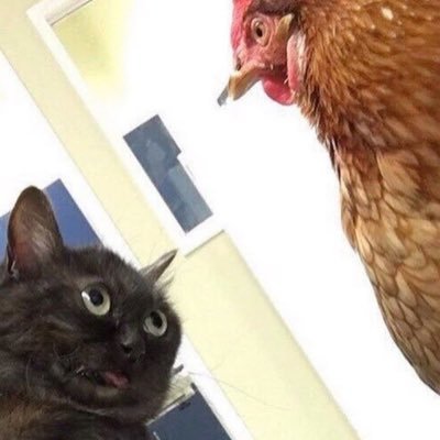 PatrickBoumBoum's profile picture. mais c’est qui tillidie ???