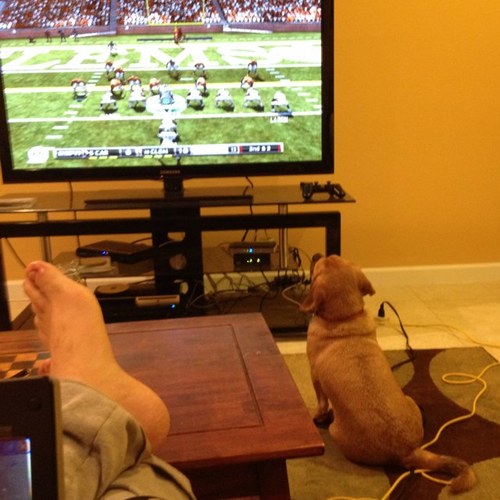 jwolff2424's profile picture. 