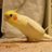 thiaki0609's profile image