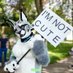 Silva (@silva_lynx) Twitter profile photo Silva (@silva_lynx) Twitter profile photo
