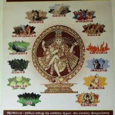 Savitri S Profile