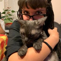 _shaexe (@_shaexe) 's Twitter Profile