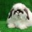 ferd143's profile image