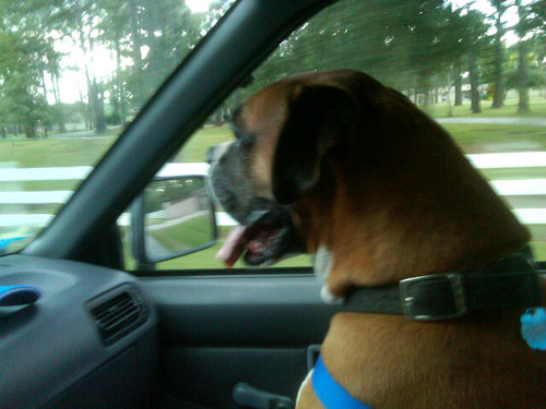 tsrnns's profile picture. Working thru the answers to the most important question ever asked: What is truth?