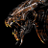 lasaxenerodun's profile image