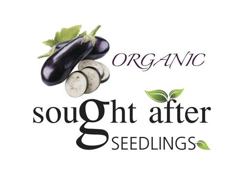 Supplier of Franchi Sementi Heirloom and Organic Vegetable seeds and Organic Gardening Courses!