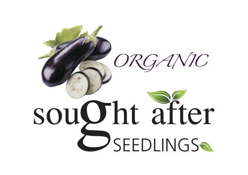 Supplier of Franchi Sementi  Heirloom and Organic Vegetable seeds and Organic Gardening Courses!