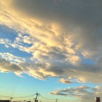 pull (@y687twtt) 's Twitter Profile