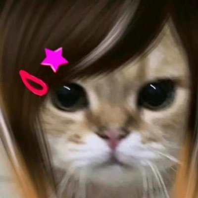 RongliWang55653's profile picture. 