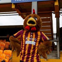 Billy Bantam (@billybantam1903) 's Twitter Profile
