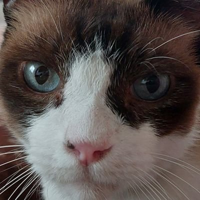 pwLlDCiDbBaJVtk's profile picture. ども