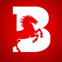Bravidea Digital Marketing Agency (@bravidea1) 's Twitter Profile