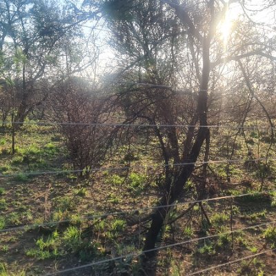 juliusms's profile picture. 