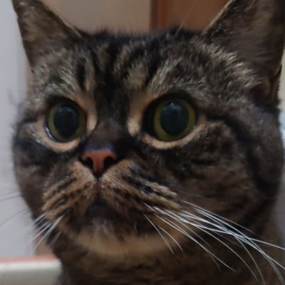 kngw_taro's profile picture. 先斗寧とFCバルセロナ大好きです🫐⚽❤
たまにつぶやきまーす😗
無言フォローすみません🙇
よろしくお願いします✨😄✨