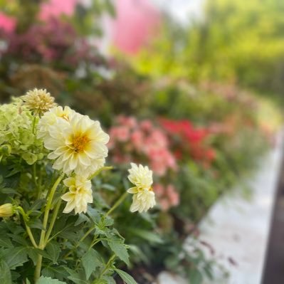 naoma202098's profile picture. 