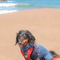 ヴヴち (@mayueesbxavgxia) 's Twitter Profile Photo