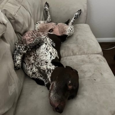 MAGATexanMBA's profile picture. #MAGA, #ProLife, Christ is my Savior, Cancer Survivor, MBA. Biotech investor. Jer. 1:5 God created life. ✝️🇺🇸❤️