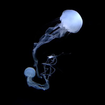 CGを作ったり 自作キーボードを作ったり プログラミングをしたり
(gkg73)(jnd77)(su-ne25)