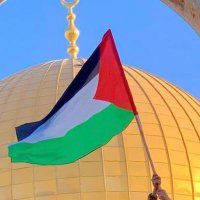 Zeynep (@zeynpg01) Twitter profile photo