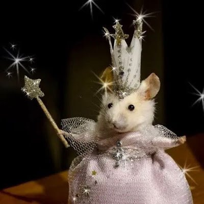 hithere87654's profile picture. 