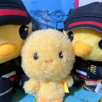 🐥はぃら(6v6) (@hyla666ne) 's Twitter Profile