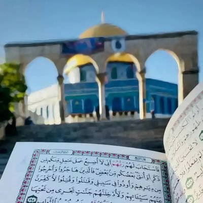 HHasseiun's profile picture. ....،