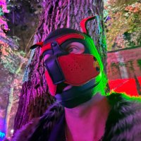 Pup Ocean (@oceanboyuk) 's Twitter Profile Photo Pup Ocean (@oceanboyuk) 's Twitter Profile Photo