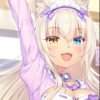 Miunkira Jeff (@jeffkalico) 's Twitter Profile