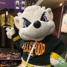 Yeeeem3's profile picture. I💛SUNDY🐻‍❄️ | LDH | RMPG • 川村壱馬🐺Kazuma | GENE • 白濱亜嵐🐰Alan |🚀TJBB • NOSUKE👽 | D.League•SSLUX