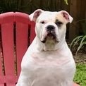 MKC ❤️🇺🇸🙏✝️🇺🇸❤️ (@mkc68793508mkc) 's Twitter Profile