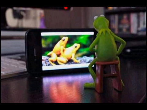 dustender's profile picture. 