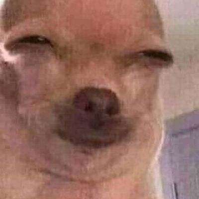 p_tcr's profile picture. 