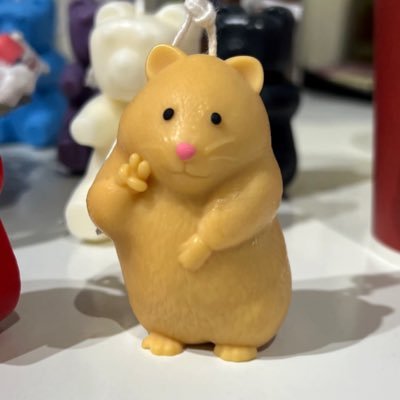 YASHINOKI_HOUSE's profile picture. クラフトビールが大好き🍺年間で５００種類以上のビールを飲みます✨着物や落語などの日本文化も大好きです♡ぞん美はアキコ先生より命名🖋️渋谷区周辺によくいるグルメ好き&ディズニー好きのBobby友でもあります