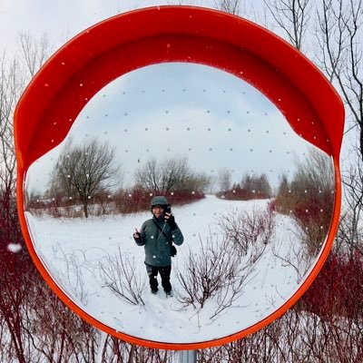 95tuanle's profile picture. Software Developer