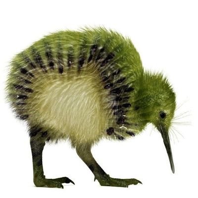 Fir3_V's profile picture. Kiwiwi