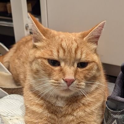 Danqu3E's profile picture. 