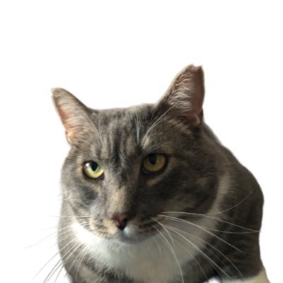 RonGileck's profile picture. 