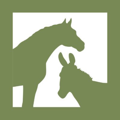 Homes for Horses Coalition Profile