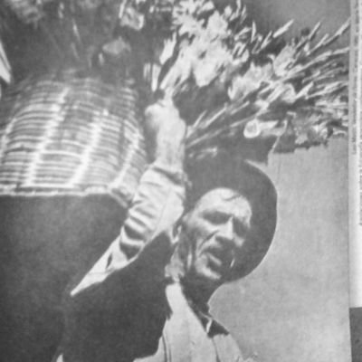 Bolivariano culto sano recto y productivo hacia la rbdv siglo xxi
