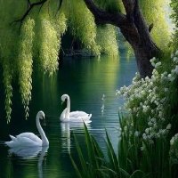 Damayanthi Pushpa kumari (@damayanthi74) 's Twitter Profile Photo Damayanthi Pushpa kumari (@damayanthi74) 's Twitter Profile Photo