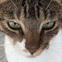 leslie escobar - @leslieesco6386 - Twitter