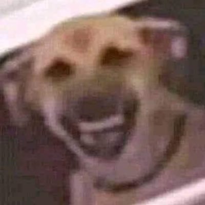 theSpotMancha's profile picture. 