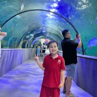 Khuong Nguyen (@khuongn87958181) 's Twitter Profile