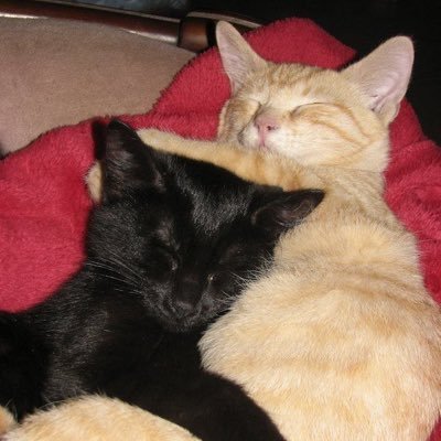 itsalrdone21's profile picture. my personal manifesting diary :) 22 LOA