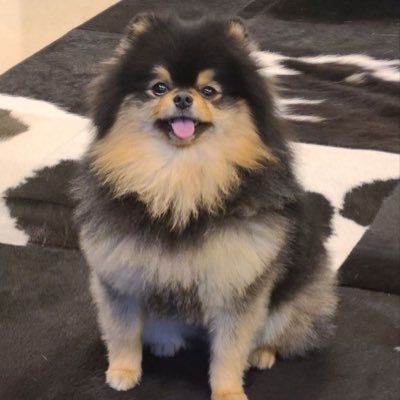 25_trinh's profile picture. 