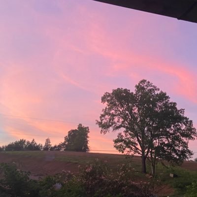 solaron15cps's profile picture. Njvhm