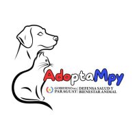 adoptaMpy (@adoptampy) 's Twitter Profile
